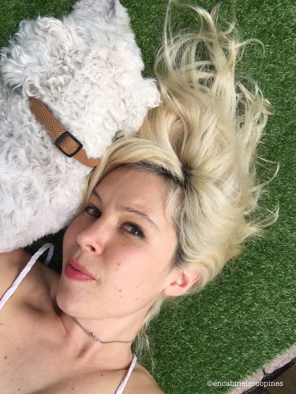 Coiffance soin Recoiffant déjaunir cheveux blonds Coiffance soin Recoiffant déjaunir cheveux blonds