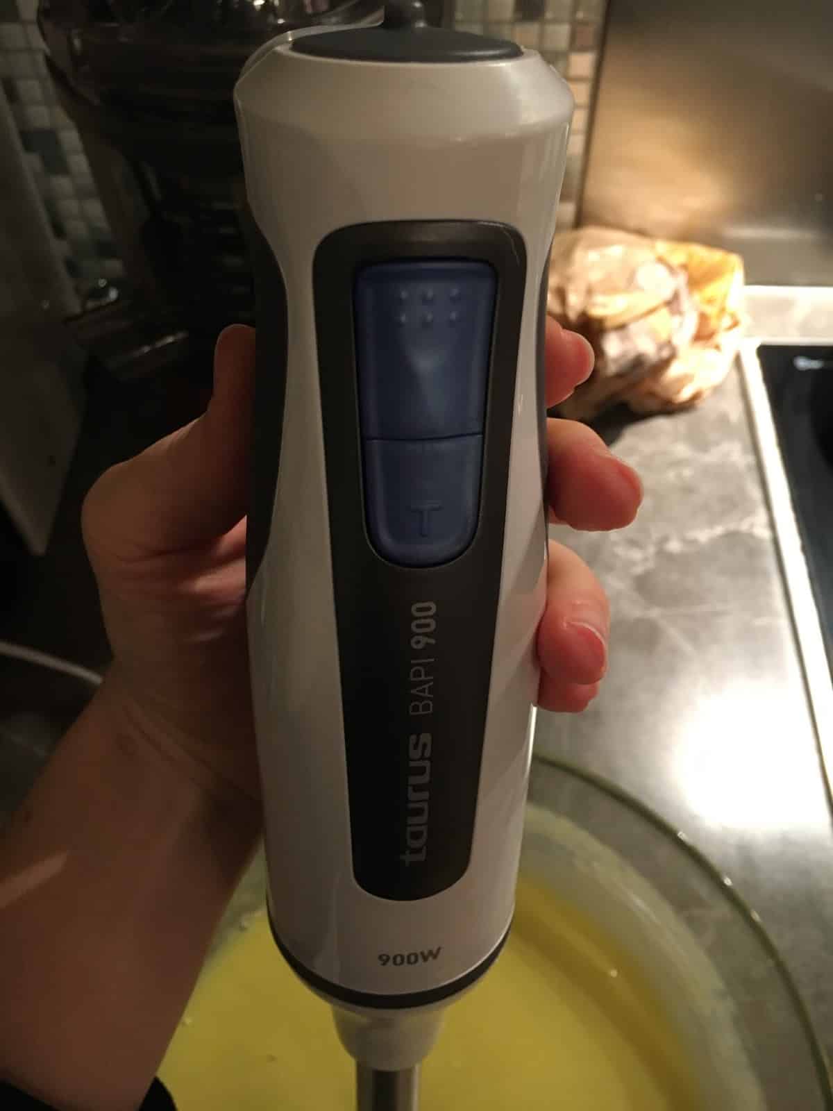 bapi 900 taurus mixeur à bras pour faire de la soupe