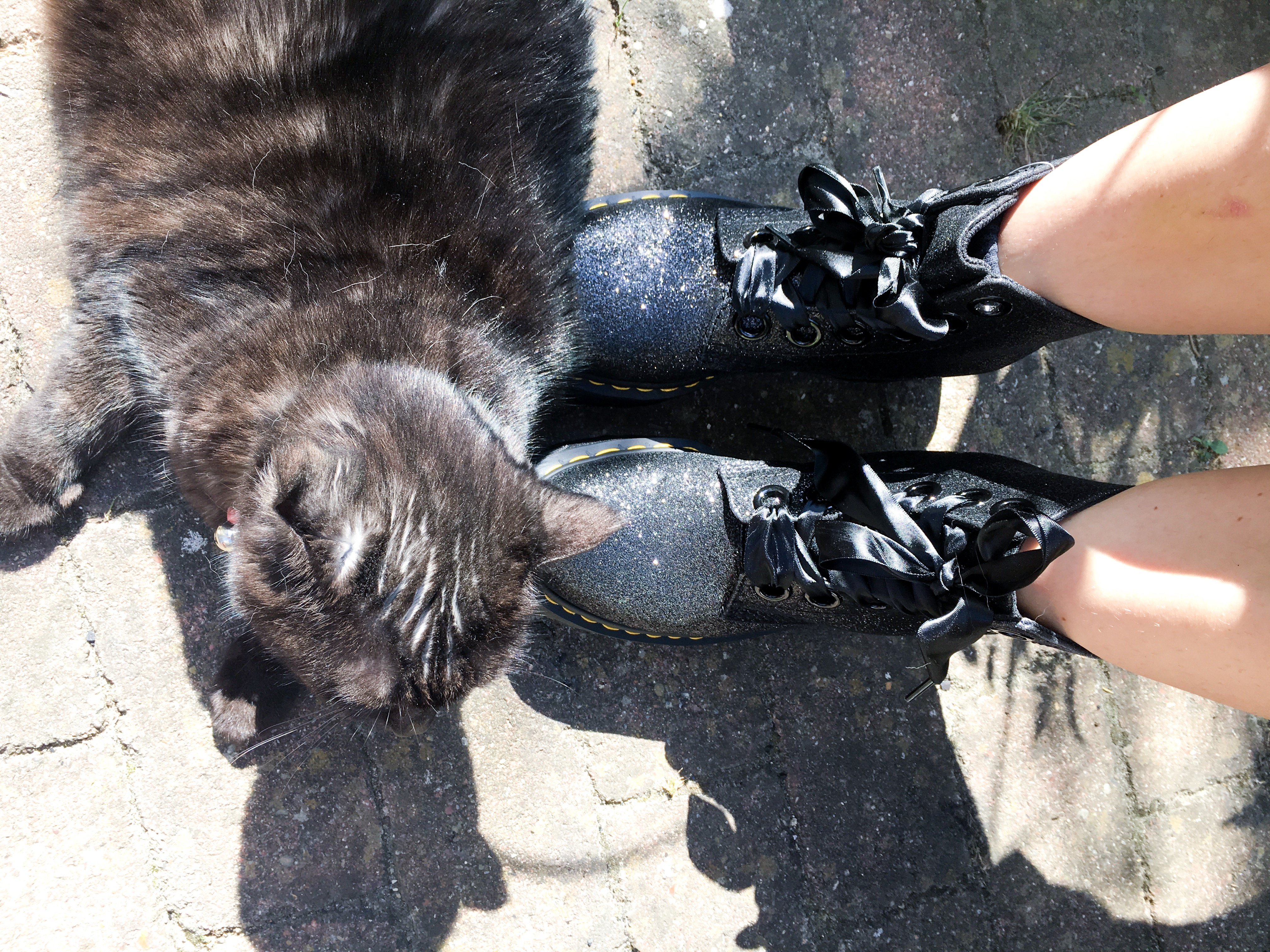 Dr Martens Molly chaussures Noholita