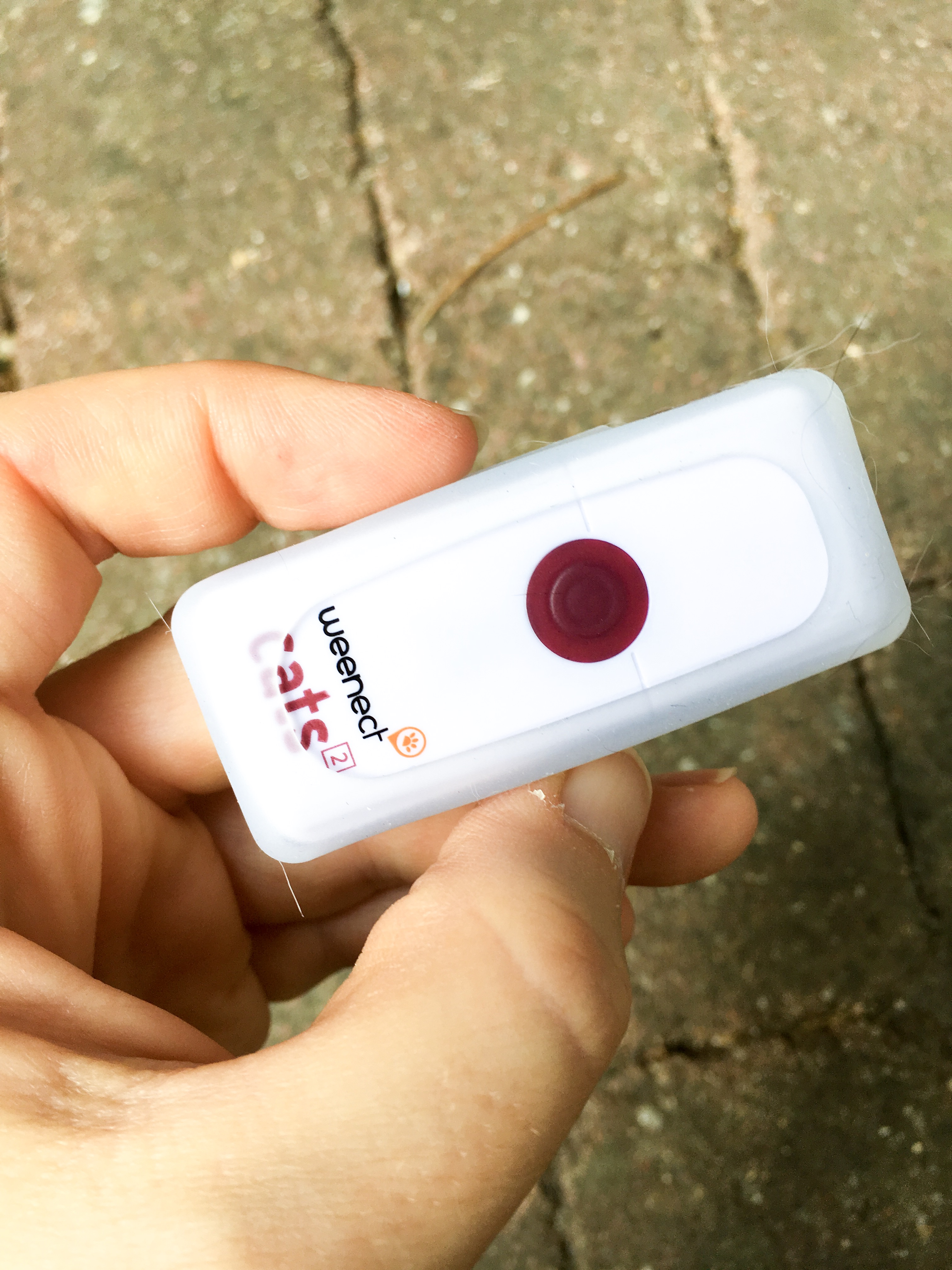 collier balise gps chat 