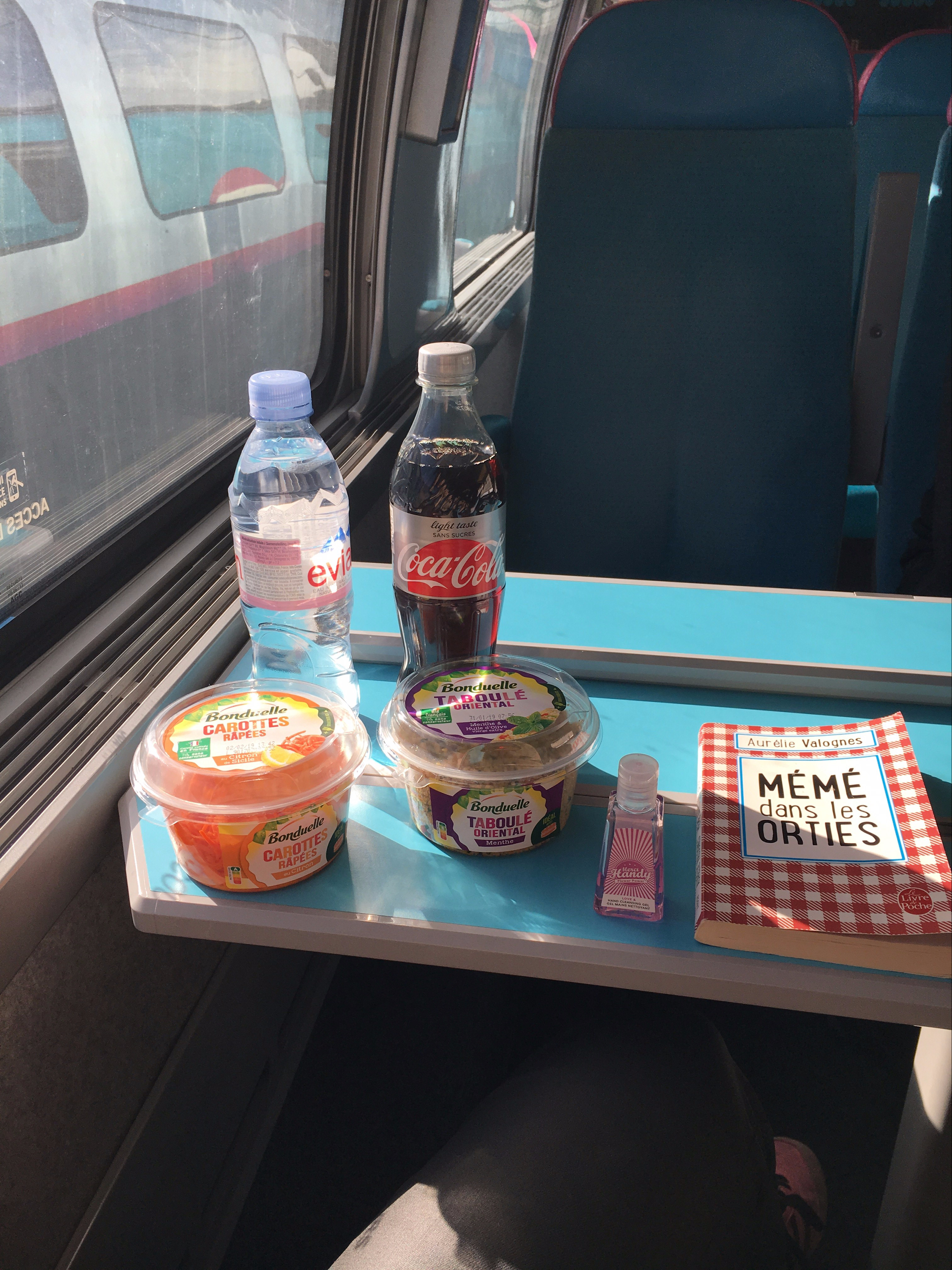 ouigo voyage en ouigo paris gare de lyon Marseille 