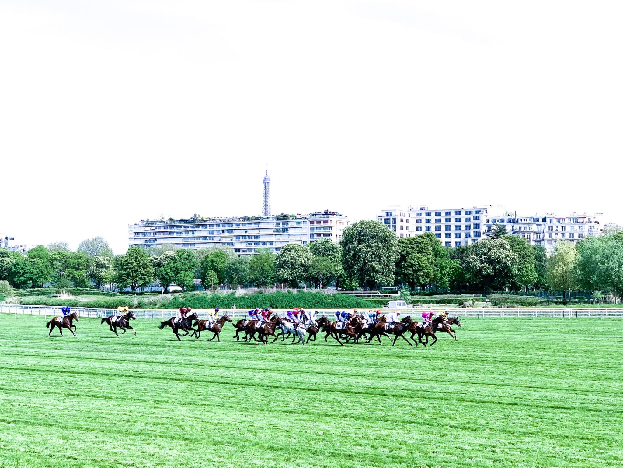 les dimanches au galop avis de maman sortie famille  les dimanches au galop avis de maman sortie famille
