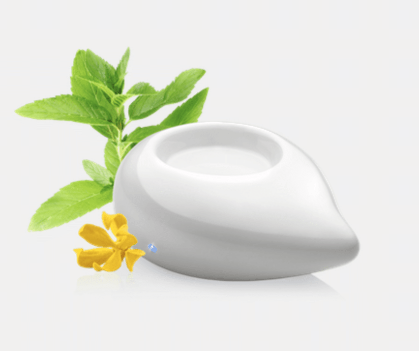 Capture d’écran 2019-11-04 à 12.02.23.png