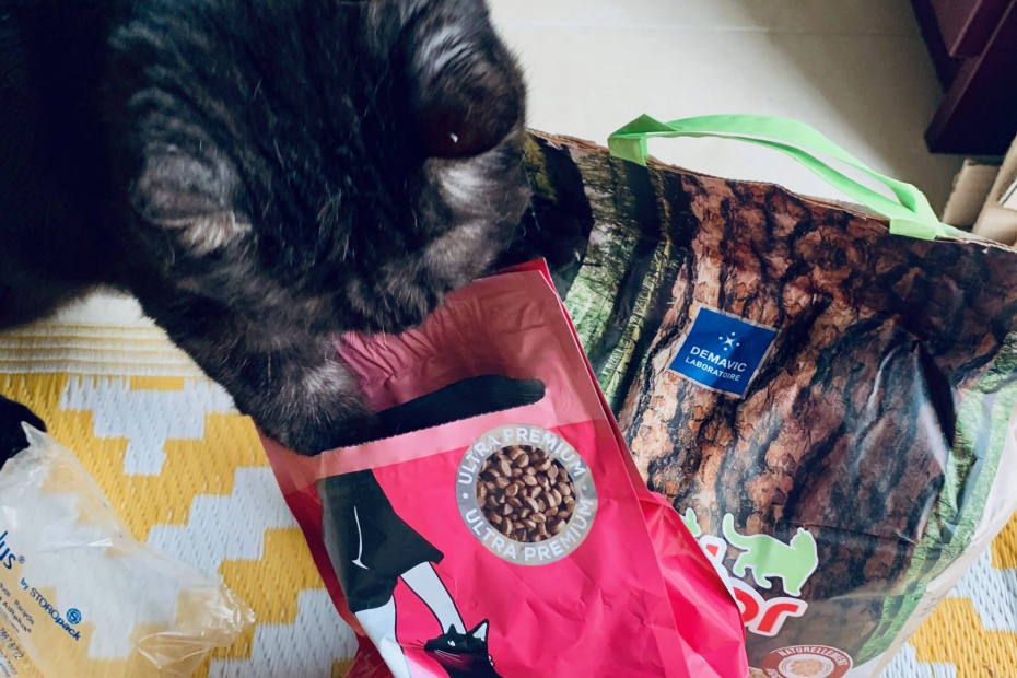 laboratoire demavic croquettes félinity avis