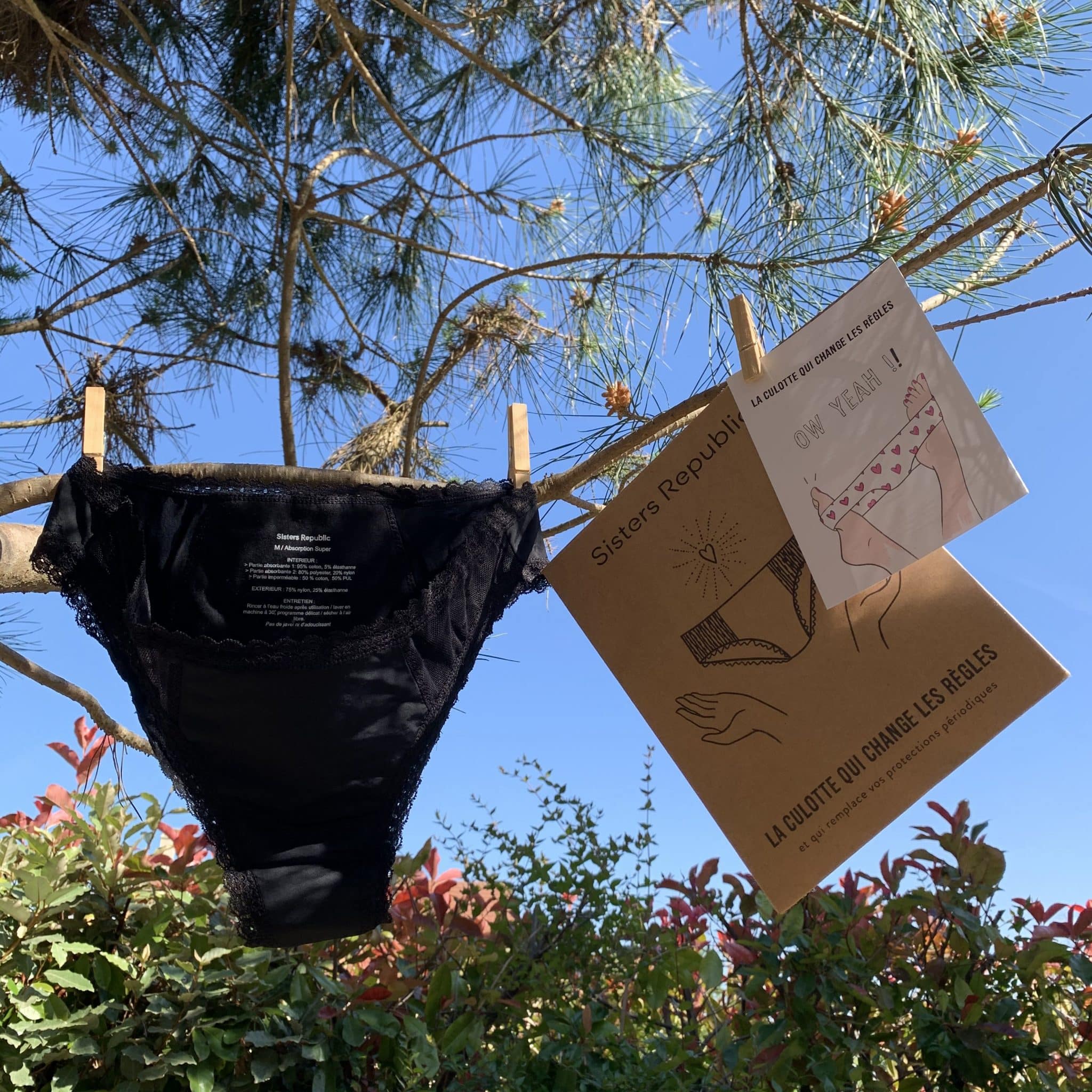 avis culotte périodique sistersrepublic culotte de règle