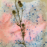 comment faire des fleurs séchées