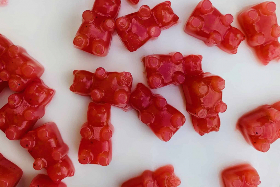 recette bonbons haribo ourson light sans sucre