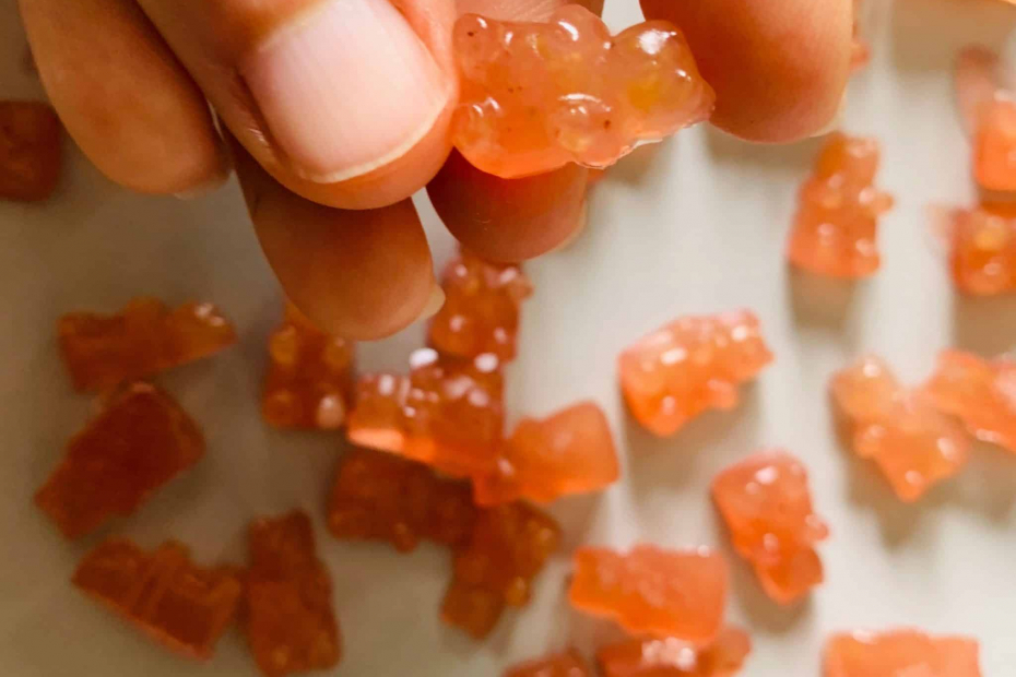 recette bonbons haribo ourson sans sucre