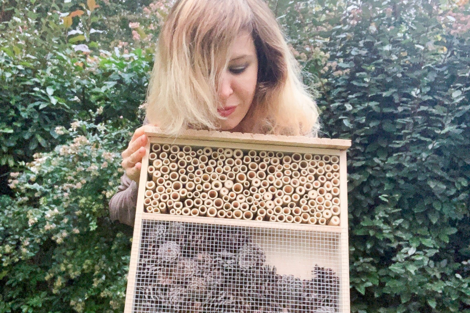 avis hôtel insectes Caillard