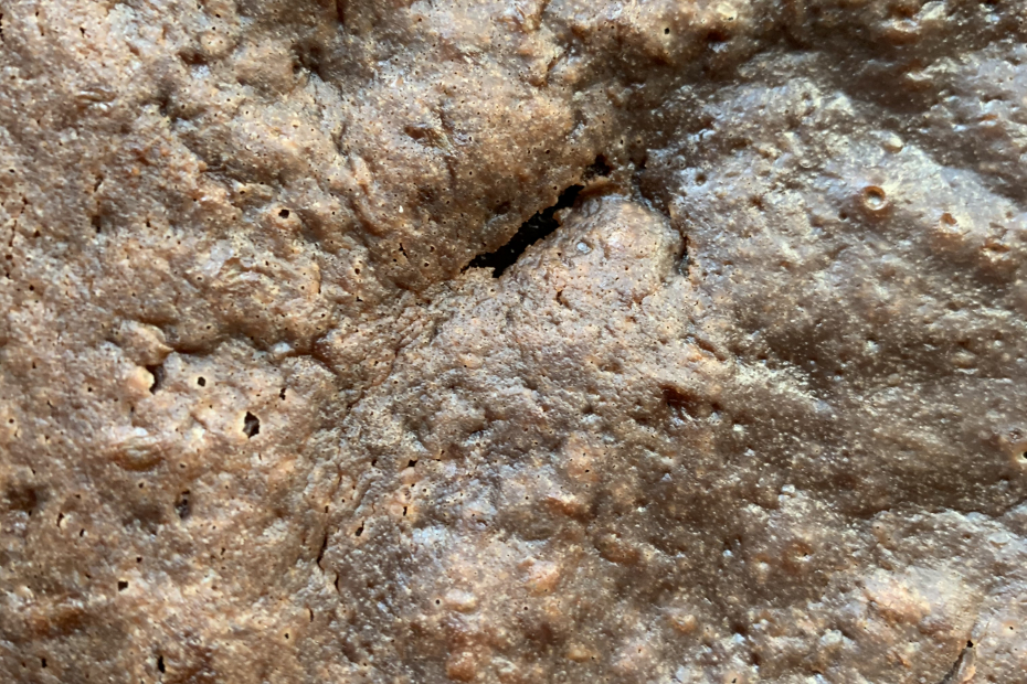 gateau au chocolat sans beurre crème fraiche