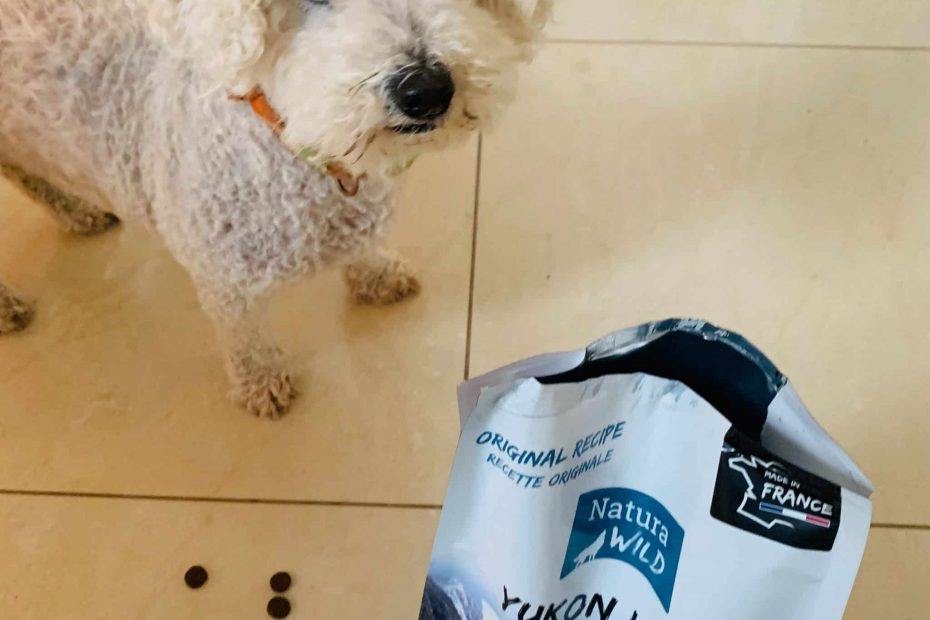 Zoodirect croquettes chien riche en protéines