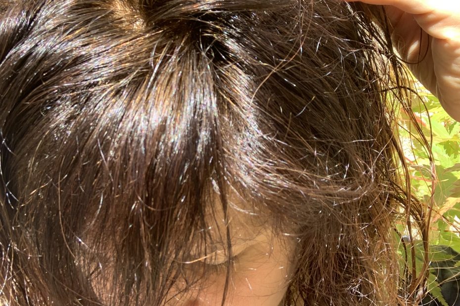 le henné en deux temps henné du rajasthan