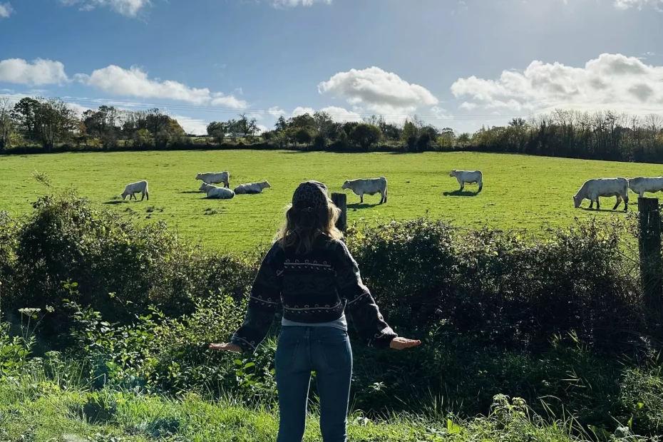 Des idées pour un week-end en Normandie