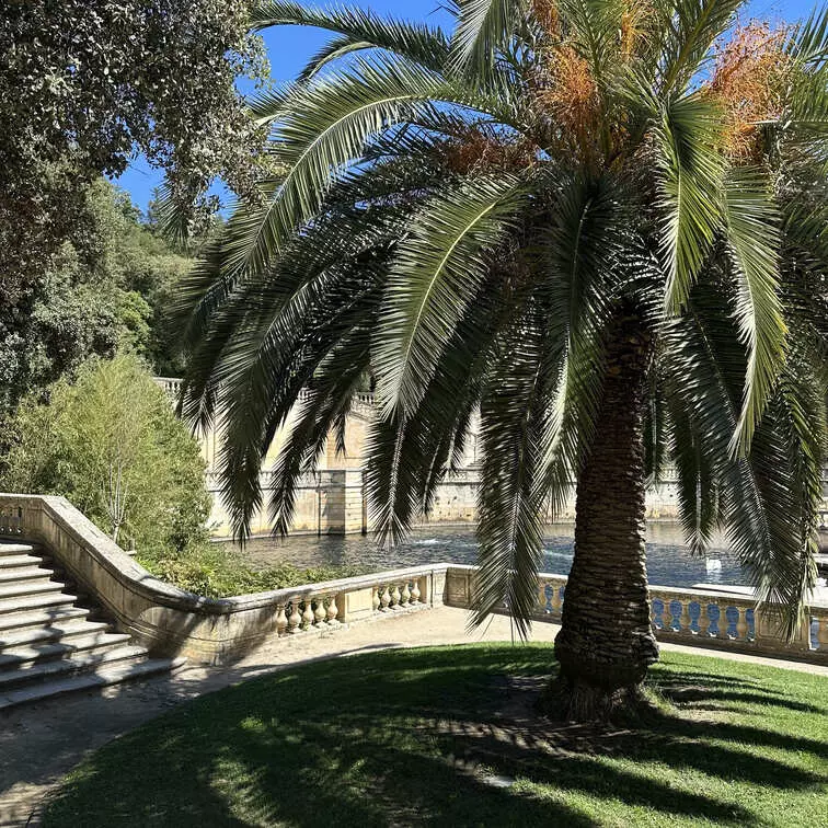 Sortie à Nîmes Les jardins de la fontaine