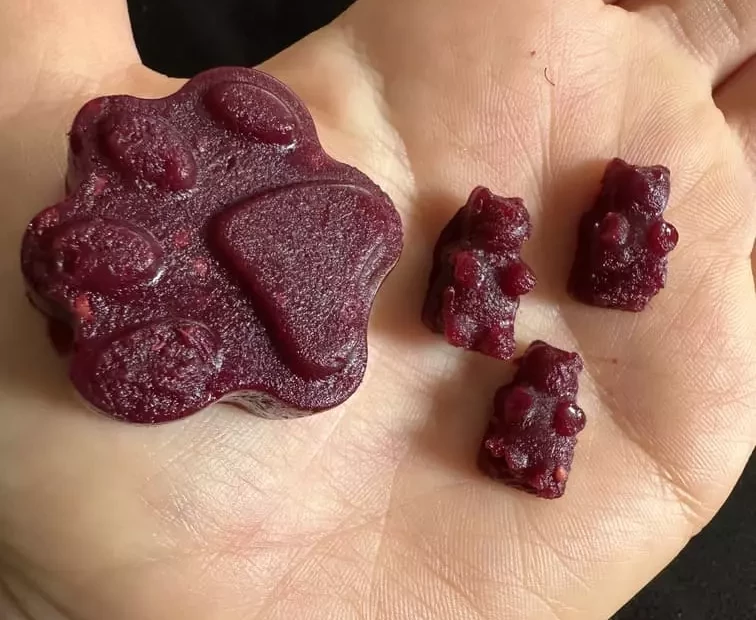 recette bonbons sans sucre