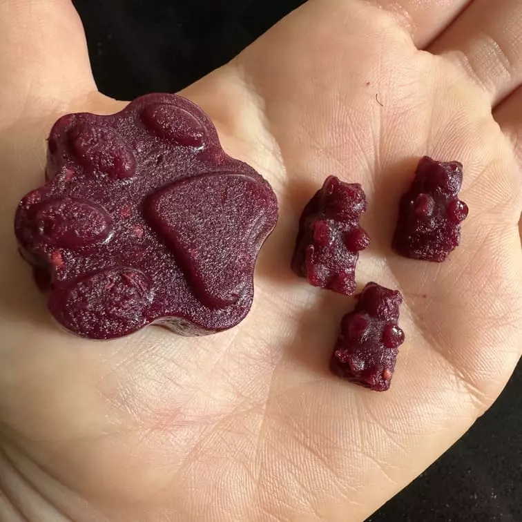 recette bonbons sans sucre