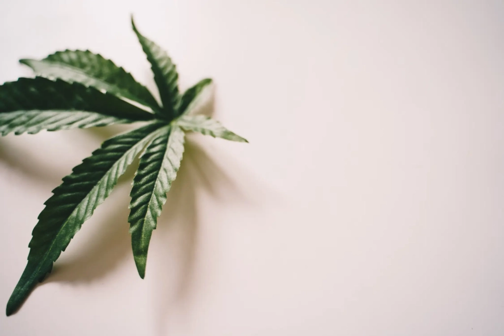 CBD légal